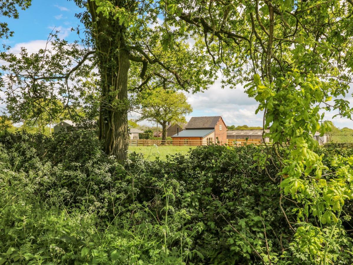 Acorn Lodge Stafford Buitenkant foto